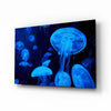 Jellyfish Glass Wall Art by Insigneart USA