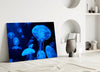 Jellyfish Glass Wall Art by Insigneart USA