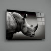 Rhino Glass Wall Art by Insigneart USA