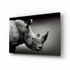Rhino Glass Wall Art by Insigneart USA