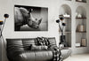 Rhino Glass Wall Art by Insigneart USA