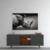 Rhino Glass Wall Art by Insigneart USA