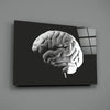 Brain Glass Wall Art by Insigneart USA