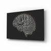 Brain Glass Wall Art by Insigneart USA