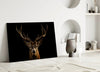 Deer Glass Wall Art by Insigneart USA