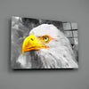 Eagle Glass Wall Art by Insigneart USA