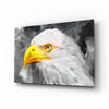 Eagle Glass Wall Art by Insigneart USA