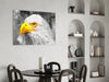 Eagle Glass Wall Art by Insigneart USA