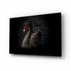 Black Swan Glass Wall Art by Insigneart USA