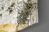 Dance of Yellow Glass Wall Art by Insigneart USA