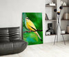 Yellow Vine Bird Glass Wall Art by Insigneart USA