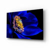 Wheel of Fortune Glass Wall Art by Insigneart USA