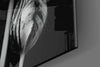 Black and White Flowers Glass Wall Art by Insigneart USA