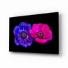 Crowned Mountain Tulip Glass Wall Art by Insigneart USA
