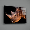 Rhino Glass Wall Art by Insigneart USA