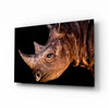 Rhino Glass Wall Art by Insigneart USA