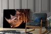 Rhino Glass Wall Art by Insigneart USA