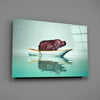 Hippo Glass Wall Art by Insigneart USA
