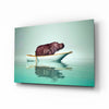 Hippo Glass Wall Art by Insigneart USA