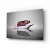 Hippo Glass Wall Art by Insigneart USA