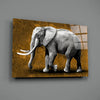 Elephant Glass Wall Art by Insigneart USA