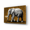 Elephant Glass Wall Art by Insigneart USA
