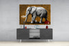 Elephant Glass Wall Art by Insigneart USA