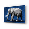 Elephant Glass Wall Art by Insigneart USA