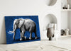 Elephant Glass Wall Art by Insigneart USA