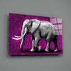 Elephant Glass Wall Art by Insigneart USA