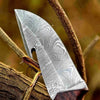 Damascus Gut Hook Hunting Knife — Bone, Turquoise Resin & Rosewood Handle by JW SteelCrafts