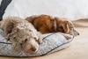 Round Pet Bed in Sapphire Spaniel by Furr Baby Gifts