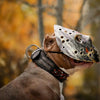 The "Haunted'' collar LIMITED by Bestia Dog Gear