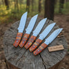 Handmade Artisan Scandi Bushcraft Knife of Set 5-Piece with Scandi Grind & Orange Resin Handles by JW SteelCrafts