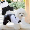 Handsome Stylish Pet Suit with Bow Tie by Furr Baby Gifts