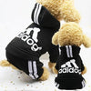 Designer Pet Dog Jumpsuit for Small Medium Dogs by Furr Baby Gifts