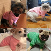 XS-2XL Winter Warm Pet Sweater by Furr Baby Gifts