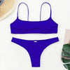 Push Up Bikini Set Swimsuits High Waist Swimwear Women Ribbed Bathing Suits Brazilian Bikinis Swimsuit for Women Bottom Triangle Bikinis Top Bathing Suit by Stevvex