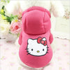 Cartoon Hoodie Sweater by Furr Baby Gifts