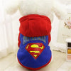 Cartoon Hoodie Sweater by Furr Baby Gifts