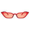 Small Leopard Cateye Design Women Sunglasses Vintage Glasses For Women Summer UV Eyewear Protection Eye Catching Cool Sunglasses For Women Goggles Plastic Frame by Stevvex