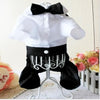 Handsome Stylish Pet Suit with Bow Tie by Furr Baby Gifts