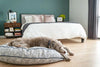 Round Pet Bed in Sapphire Spaniel by Furr Baby Gifts