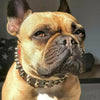 "Rocky" collar by Bestia Dog Gear