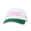 Raising Hell with the Hippies and Cowboys by The Mad Hatter Company