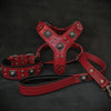 "EROS" BIG dog SET- Harness - collar - lead. Red by Bestia Dog Gear