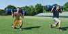 S-Core Trainer