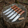 Handmade Artisan Scandi Bushcraft Knife of Set 5-Piece with Scandi Grind & Orange Resin Handles by JW SteelCrafts