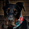 The Mickey Limited SET by Bestia Dog Gear