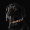 The Leopard Collar by Bestia Dog Gear
